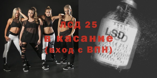индика Алексин