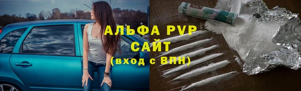 индика Алексин