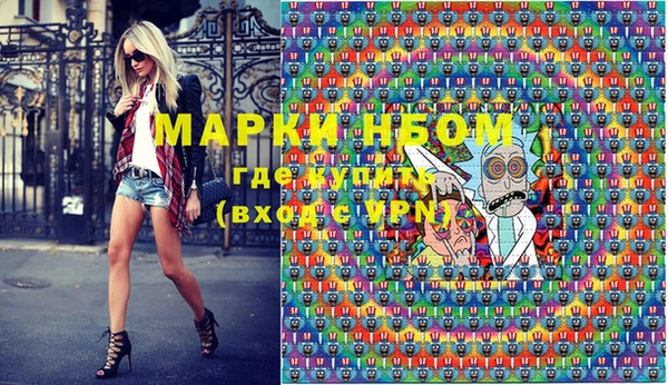 хмурый Алзамай