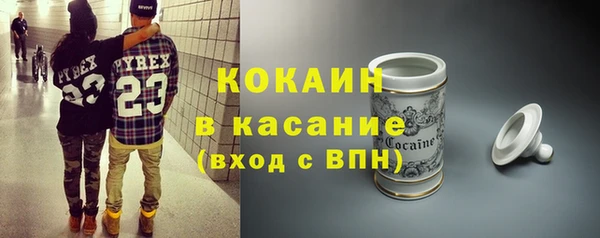 индика Алексин