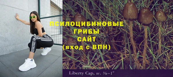 хмурый Алзамай