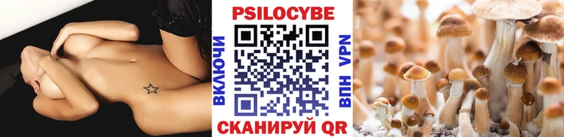 ОМГ ОМГ ONION  Зеленоградск  Псилоцибиновые грибы Psilocybine cubensis 